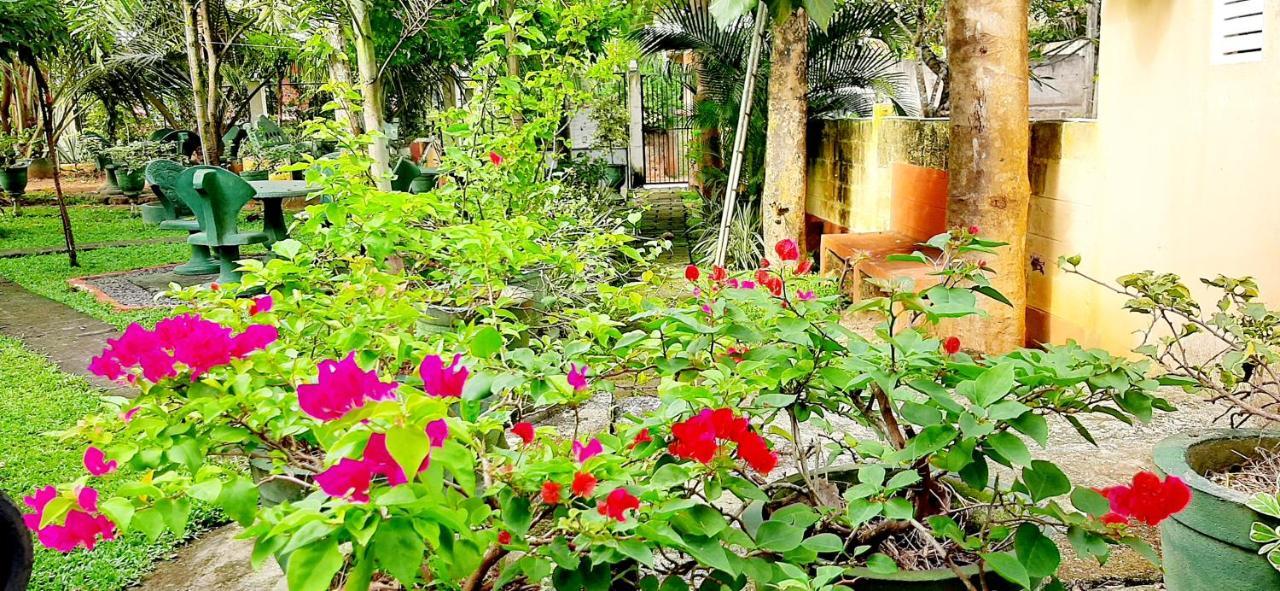Hiriketiya Cinnamon Garden Zuid-Dikwella Buitenkant foto