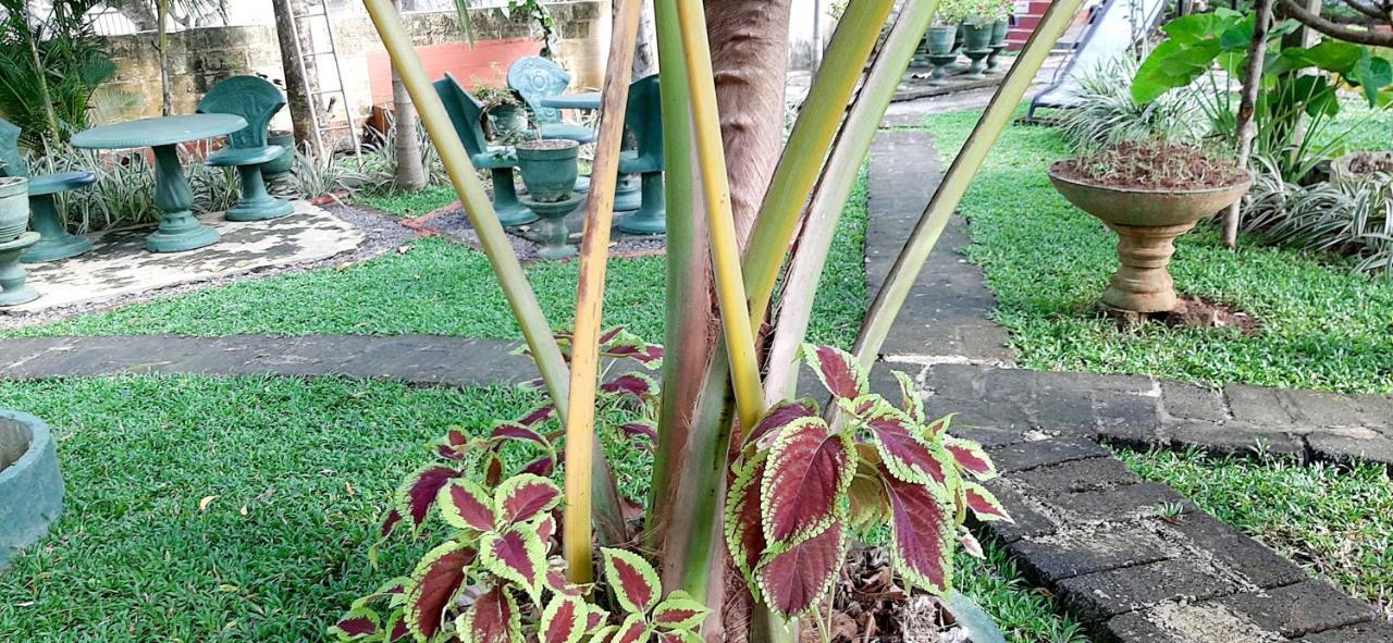 Hiriketiya Cinnamon Garden Zuid-Dikwella Buitenkant foto