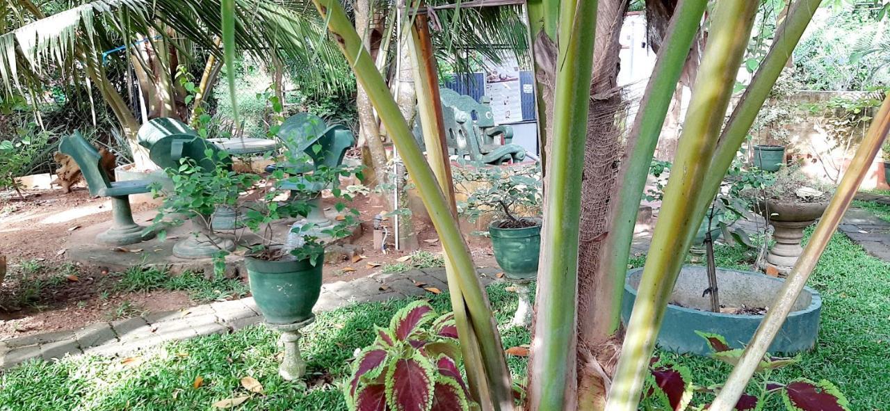Hiriketiya Cinnamon Garden Zuid-Dikwella Buitenkant foto