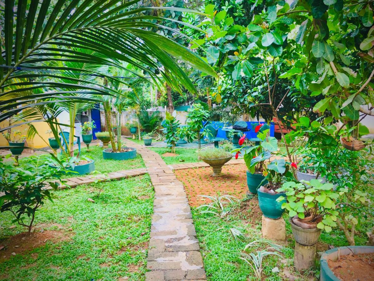 Hiriketiya Cinnamon Garden Zuid-Dikwella Buitenkant foto